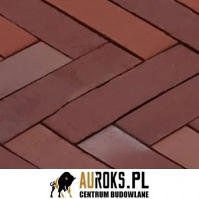 BRUK KLINKIEROWY KOLOR CLASSIC ALT 200x48,5x51 MM LHL KLINKIER .jpg