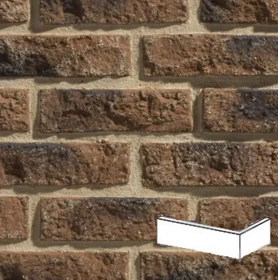 STEGU KAMIEŃ DEKORACYJNY PŁYTKA KĄTOWA RUSTIK R4 8x18,5x6 CM