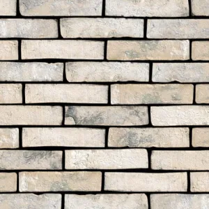 VANDERSANDEN CEGŁA HUBERTUS SNOWDUST 361 DF 210x100x65 MM