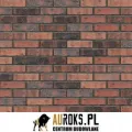PŁYTKA KLINKIEROWA KOLOR IRISH PUB NF 71x240x10 MM KLINKIER PRZYSUCHA.jpg
