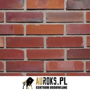 LODE CEGŁA KLINKIEROWA SZCZELINOWA KOLOR GOTIKA RF 250x120x65 MM