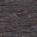 ASTEROID HOUSE LF09