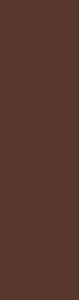 PARADYŻ PŁYTKA ELEW. NATURAL BROWN 24,5X6,5 GAT 1