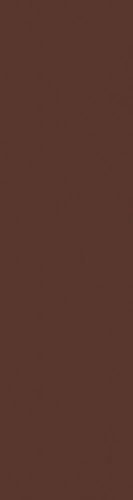 PARADYŻ PŁYTKA ELEW. NATURAL BROWN 24,5X6,5 GAT 1
