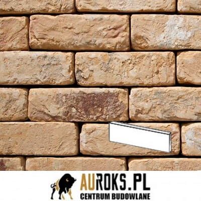 PŁYTKA OUDE KUSTSTEEN 20 DF 210x20x65 MM RĘCZNIE FORMOWANA VANDERSANDEN.jpg