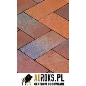 LODE BRUK KLINKIEROWY KOLOR CLASSIC 200x100x51 MM