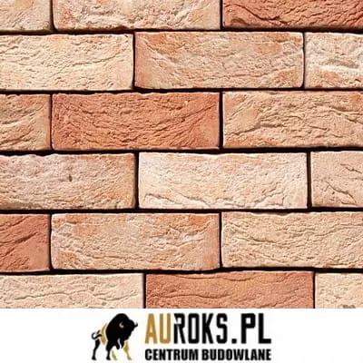 CEGŁA PEŁNA NEO MAGNOLIA 3 DF 210x100x65 MM RĘCZNIE FORMOWANA VANDERSANDEN