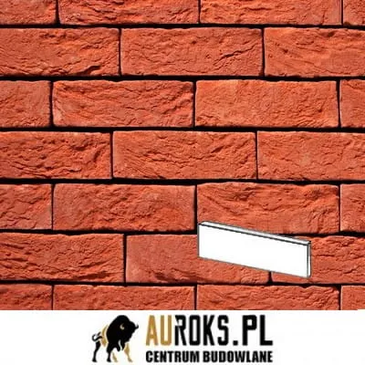 PŁYTKA TERRA ROOD 11 DF 210x20x65 MM RĘCZNIE FORMOWANA VANDERSANDEN.jpg