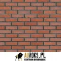 PŁYTKA KLINKIEROWA KOLOR BRICK TOWER NF 71x240x10 MM KLINKIER PRZYSUCHA.jpg