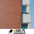 PŁYTKI KLINKIEROWE KOLOR ALFA 250x10x65 MM CRH - LHL KLINKIER wyk.jpg