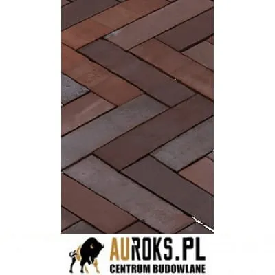 BRUK KLINKIEROWY KOLOR ALT TOBA 200x48,5x51 MM LHL KLINKIER .jpg