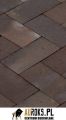 BRUK KLINKIEROWY KOLOR TOBA 200x100x51 MM LHL KLINKIER.jpg