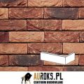 PŁYTKA KĄTOWA ALPENROOS 26 DF 210x100x65X20 MM RĘCZNIE FORMOWANA VANDERSANDEN.jpg
