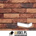 PŁYTKA KĄTOWA ALPENROOS 26 DF 210x100x65X20 MM RĘCZNIE FORMOWANA VANDERSANDEN.jpg