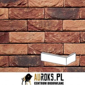 VANDERSANDEN PŁYTKA KĄTOWA ALPENROOS 26 DF 210x100x65X20 MM 