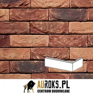 VANDERSANDEN PŁYTKA KĄTOWA ALPENROOS 26 DF 210x100x65X20 MM 