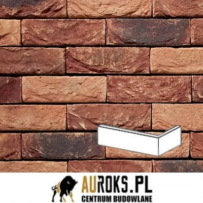 PŁYTKA KĄTOWA ALPENROOS 26 DF 210x100x65X20 MM RĘCZNIE FORMOWANA VANDERSANDEN.jpg