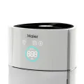 HAI01206-3.jpg
