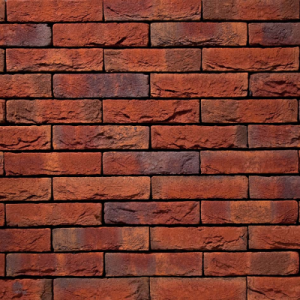 VANDERSANDEN CEGŁA RENO 565 WF 210x100x50 MM