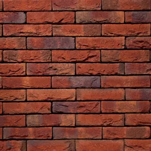 VANDERSANDEN CEGŁA RENO 565 WF 210x100x50 MM