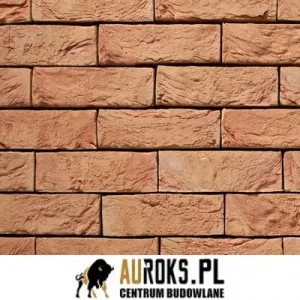  VANDERSANDEN CEGŁA ROSE 6 DF 210x100x65 MM 