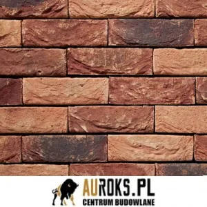VANDERSANDEN CEGŁA  ALPENROOS 26 DF 210x100x65 MM