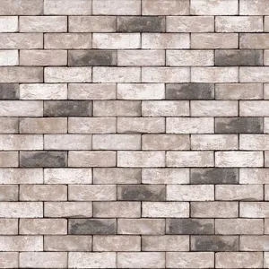 VANDERSANDEN CEGŁA BIVIO 152 A3 DF 210x100x65 MM