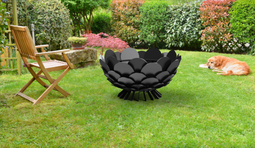PAVO.png