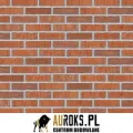 PŁYTKA KLINKIEROWA KOLOR BENGALI SUNRISE NF 71x240x10 MM KLINKIER PRZYSUCHA.jpg
