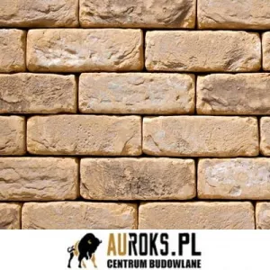  VANDERSANDEN CEGŁA OUD BLANCKAERT 101 DF 210x100x65 MM 