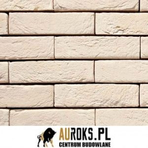 VANDERSANDEN CEGŁA CREME 38 DF 210x100x65 MM 