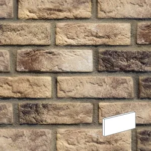 STEGU KAMIEŃ DEKORACYJNY PŁYTKA CAMBRIDGE 10 208X63MM  OPK. 0,91M2