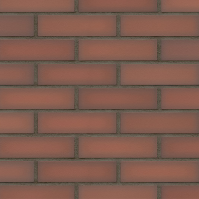 KING KLINKER TYBETAŃSKI PŁOMIEŃ PŁYTKA 65x250x10 MM