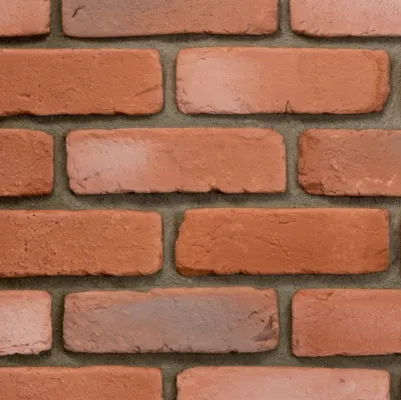 STEGU KAMIEŃ DEKORACYJNY PŁYTKA LOFT L2 30,6x6,3 CM