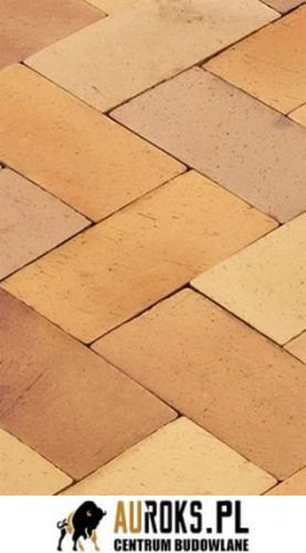 BRUK KLINKIEROWY KOLOR SOLARIS 200x100x47 MM LHL KLINKIER.jpg