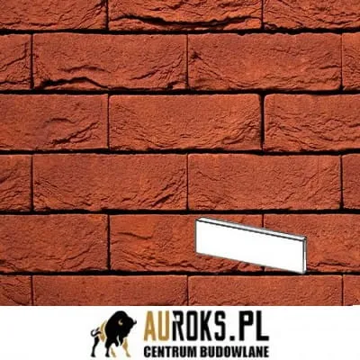 PŁYTKA BOSTON 86 DF 210x20x65 MM RĘCZNIE FORMOWANA FIRMY VANDERSANDEN.jpg