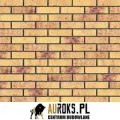 PŁYTKA KLINKIEROWA RED AMBER SEA NF 71x240x10 MM KLINKIER PRZYSUCHA.jpg