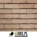 CEGŁA PEŁNA MISTRAL 58 DF 210x100x65 MM RĘCZNIE FORMOWANA FIRMY VANDERSANDEN