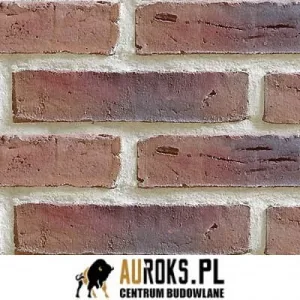 CEGŁA RĘCZNIE FORMOWANA WF STRUCTEAU TELICA – EXCLUSIEF WIJNROOD GESINTERD 210x100x50 MM