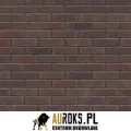 PŁYTKA KLINKIEROWA DRAGON HILL NF 71x240x10 MM KLINKIER PRZYSUCHA.jpg