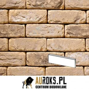 VANDERSANDEN PŁYTKA OUD BLANCKAERT 101 DF 210x20x65 MM 