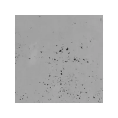 LUXUM BETON PREMIUM SZARY CIE-CE 90x45 GR 1,5 CM S51.png