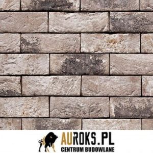 VANDERSANDEN CEGŁA VECTO 155 DF 210x100x65 MM 