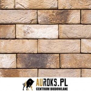 VANDERSANDEN CEGŁA LIGURE 81 DF 210x100x65 MM 