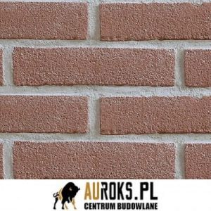 CEGŁA RĘCZNIE FORMOWANA WF VORMBAK TROIKA – ROOD 210x100x50 MM