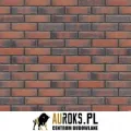 PŁYTKA KLINKIEROWA KOLOR HEART BRICK NF 71x240x10 MM KLINKIER PRZYSUCHA.jpg