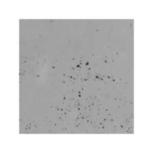 LUXUM BETON ARCHITEKTONICZNY PREMIUM SZARY CIEMNY CEMENTOWY  100x50 GR 2 CM