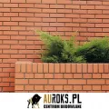 PŁYTKI KLINKIEROWE KOLOR KALAHARI 250x10x65 MM CRH - LHL KLINKIER wyk.jpg