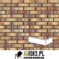 PŁYTKA KĄTOWA KLINKIEROWA RAINBOW BRICK.jpg