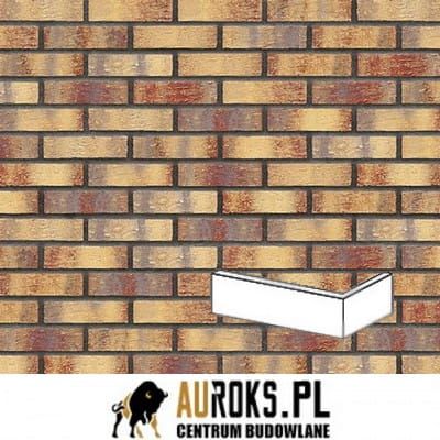 PŁYTKA KĄTOWA KLINKIEROWA RAINBOW BRICK.jpg